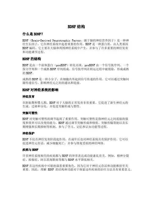 bdnf结构
