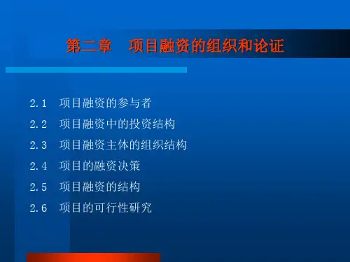项目融资PPT(PPT53页)
