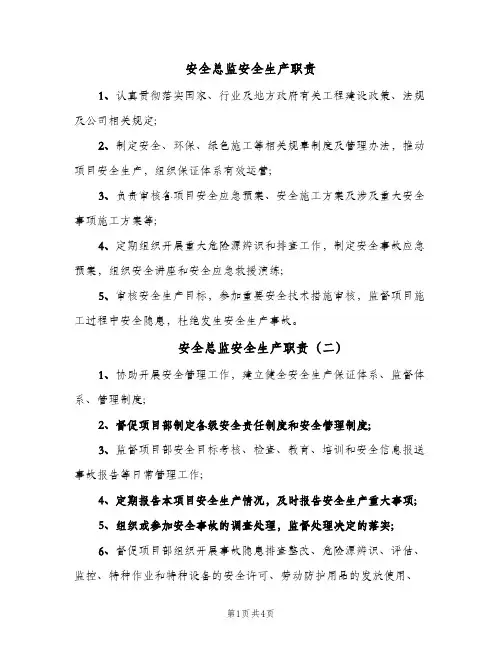 安全总监安全生产职责(五篇)