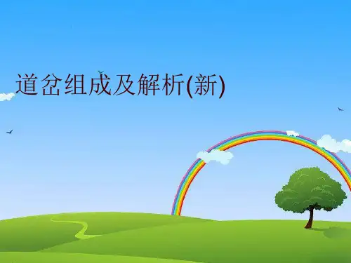 道岔组成及解析(新)