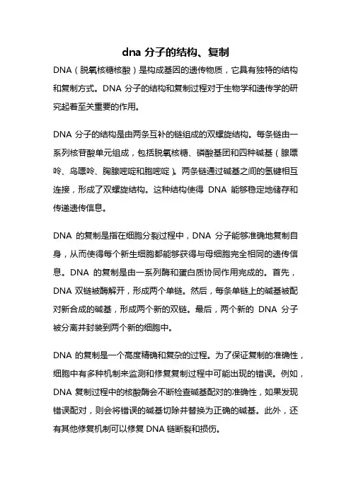 dna分子的结构、复制
