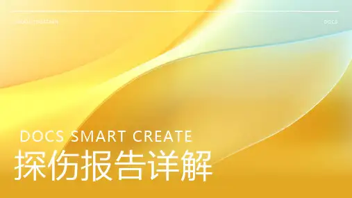 探伤报告资料