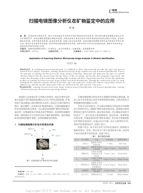 扫描电镜图像分析仪在矿物鉴定中的应用