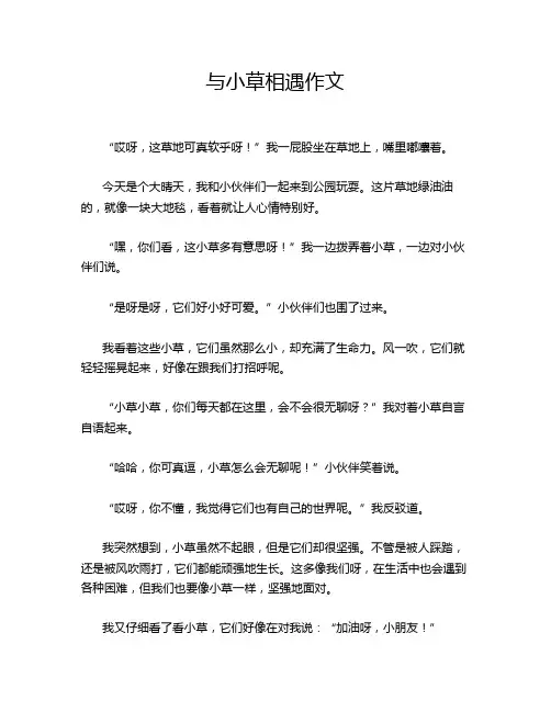 与小草相遇作文