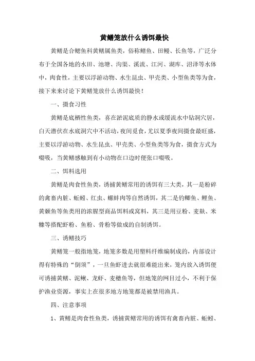 钓鱼技巧：黄鳝笼放什么诱饵最快