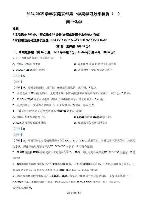 东莞市东华高级中学2024-2025学年高一上学期第一次月考 化学试题  (解析版)