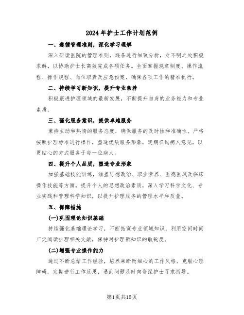 2024年护士工作计划范例（七篇）