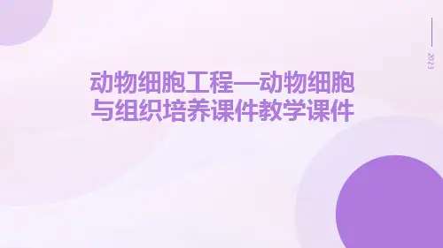 动物细胞工程—动物细胞与组织培养课件教学课件
