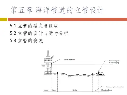 海洋管道的立管设计