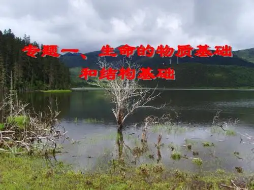 专题一生命的物质基础和结构基础