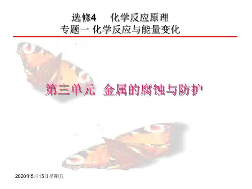 金属的腐蚀与防护