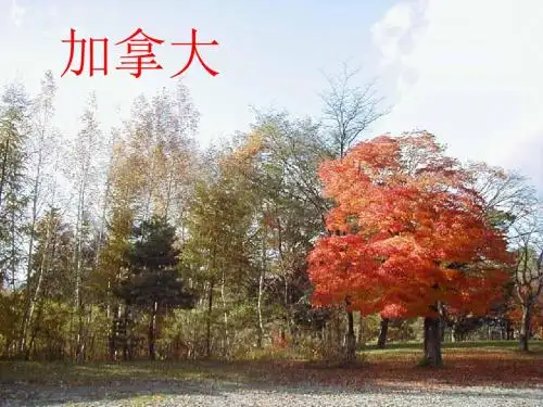 地理课件加拿大ppt