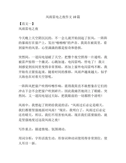 风雨雷电之夜作文10篇