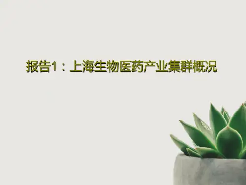 报告1：上海生物医药产业集群概况共21页文档