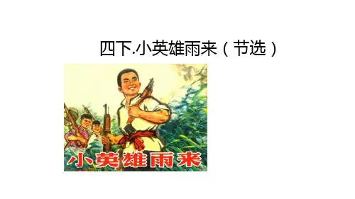 19 小英雄雨来(节选)   课件(共17张PPT)