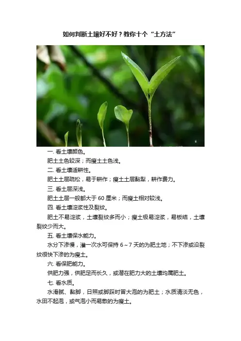 如何判断土壤好不好？教你十个“土方法”