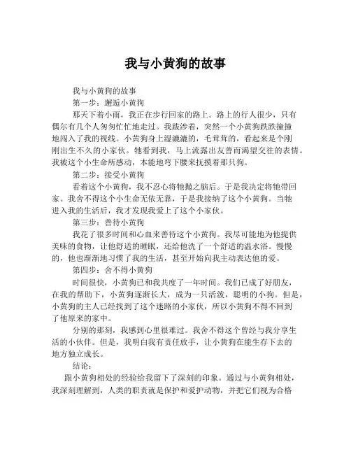 我与小黄狗的故事