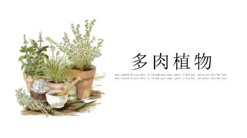 白色简约多肉植物工作汇报PPT模板课件