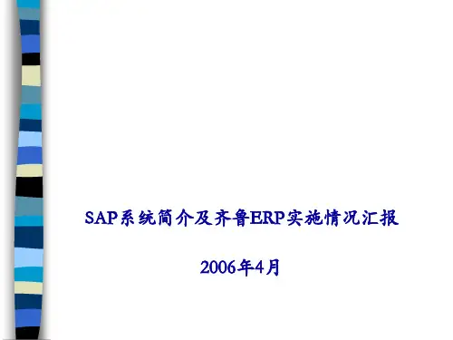 SAP系统介绍及ERP项目实施的情况(ppt 31页)