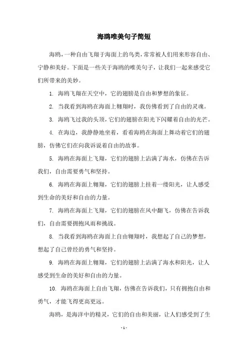 海鸥唯美句子简短