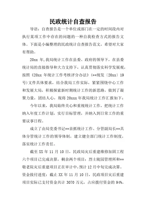 民政统计自查报告