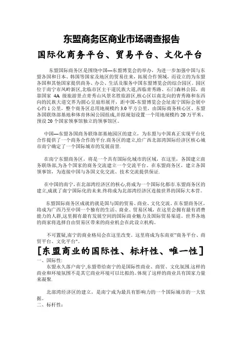 东盟商务区商业市场调查报告