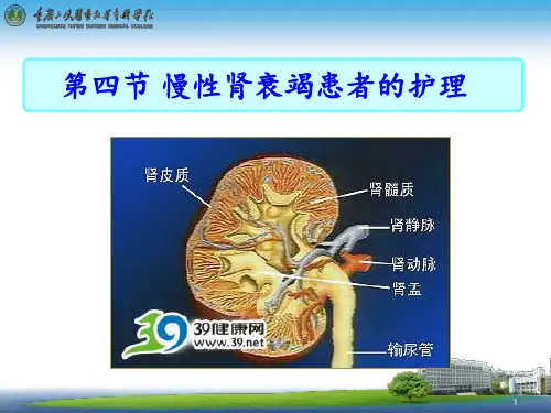 慢性肾衰竭患者护理 ppt课件