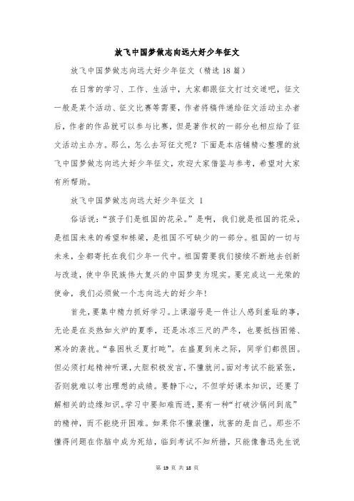 放飞中国梦做志向远大好少年征文