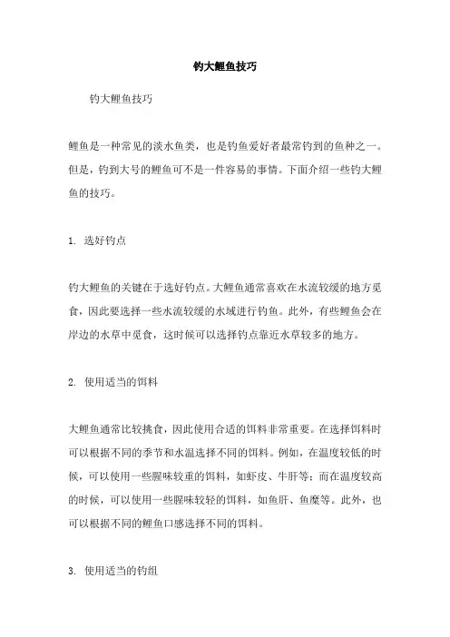 钓大鲤鱼技巧