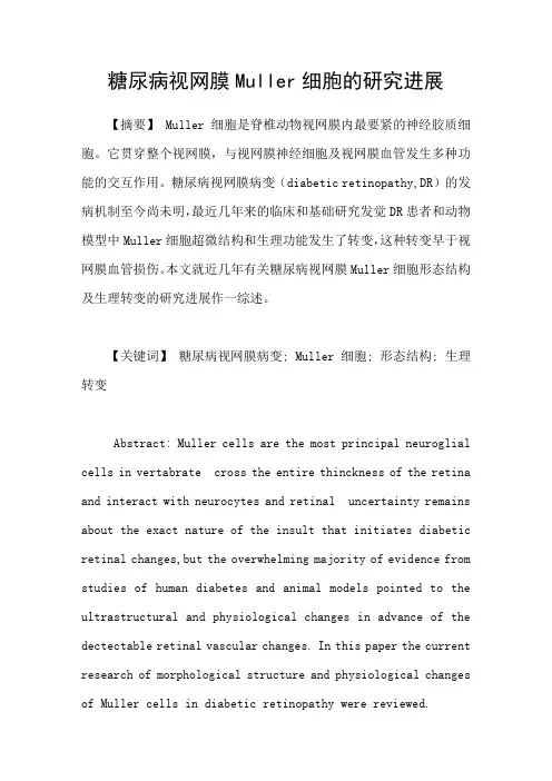 糖尿病视网膜Muller细胞的研究进展