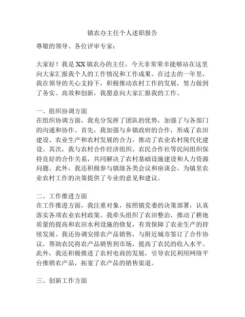 镇农办主任个人述职报告