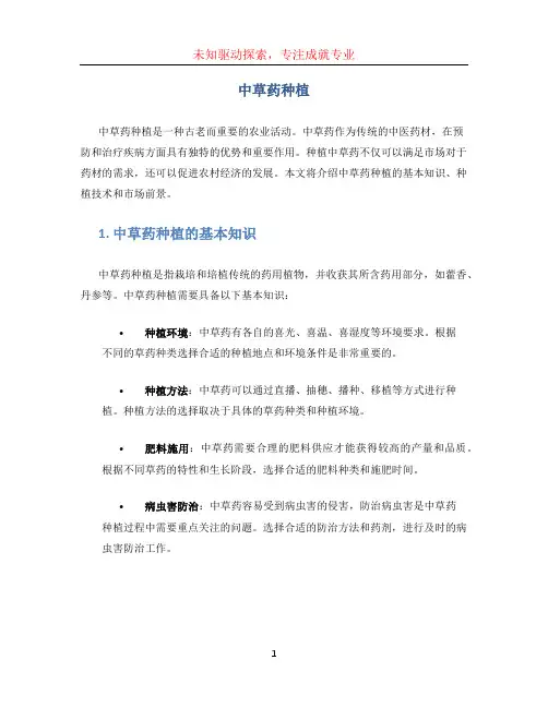 中草药种植
