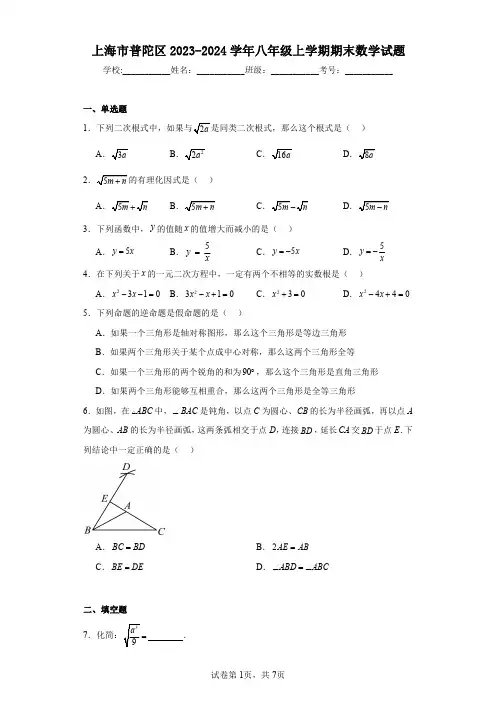 上海市普陀区2023-2024学年八年级上学期期末数学试题