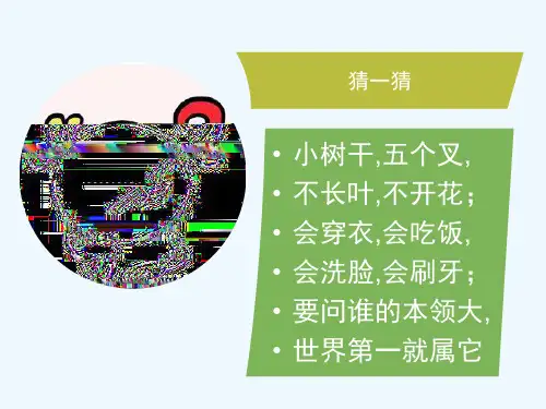 小学五年级植树问题PPT