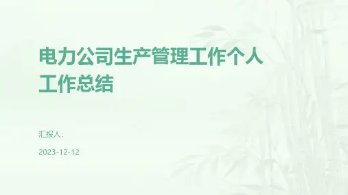 电力公司生产管理工作个人工作总结