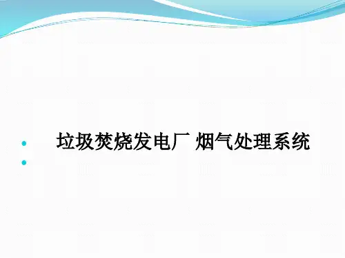 垃圾焚烧发电厂烟气处理系统