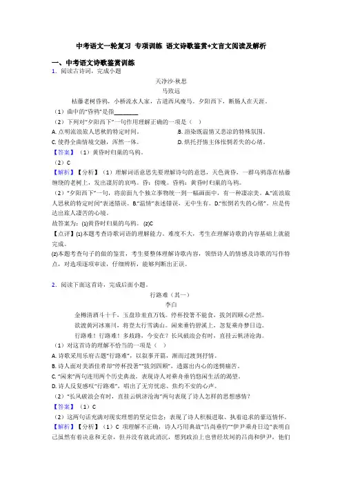 中考语文一轮复习 专项训练 语文诗歌鉴赏+文言文阅读及解析