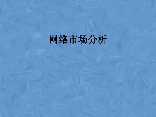 网络市场分析