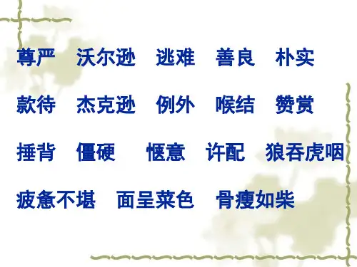 四年级语文下册第二组7尊严课件
