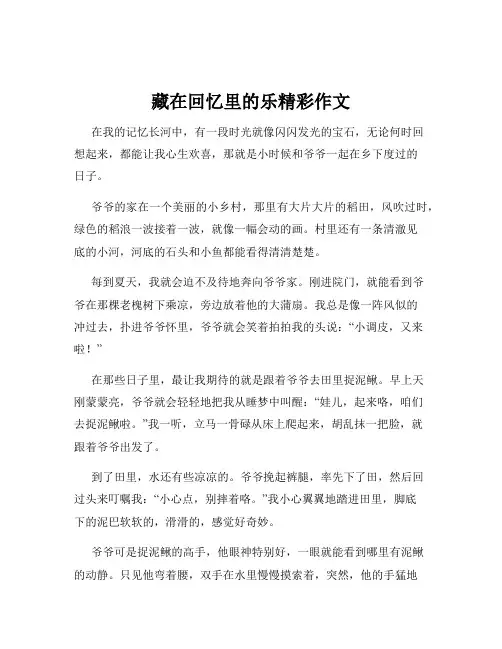 藏在回忆里的乐精彩作文