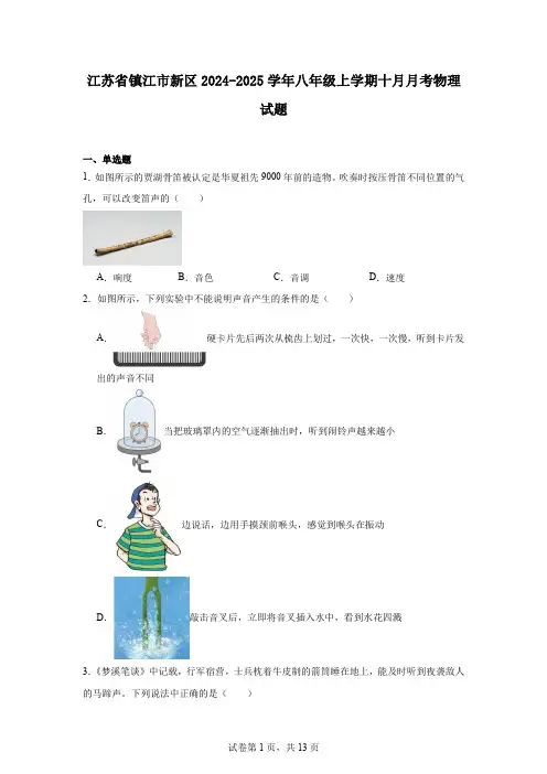 江苏省镇江市新区2024-2025学年八年级上学期十月月考物理试题