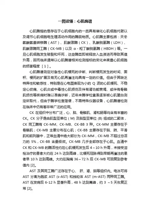 一图读懂：心肌酶谱