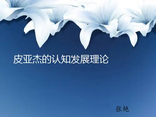 皮亚杰认知发展理论分析