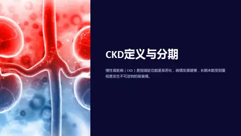 《CKD定义与分期》课件
