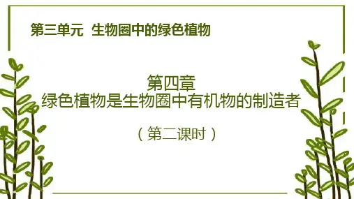 3.4 绿色植物是生物圈中有机物的制造者(第二课时)七年级生物上学期课件(人教版)