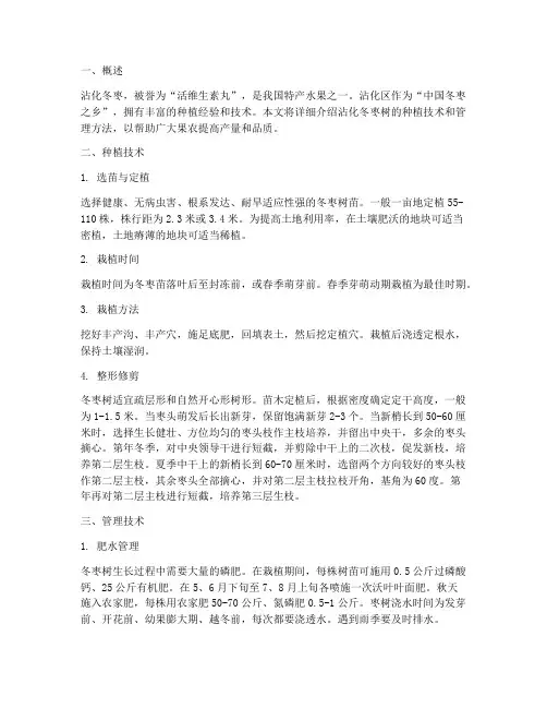 沾化冬枣树种植技术管理