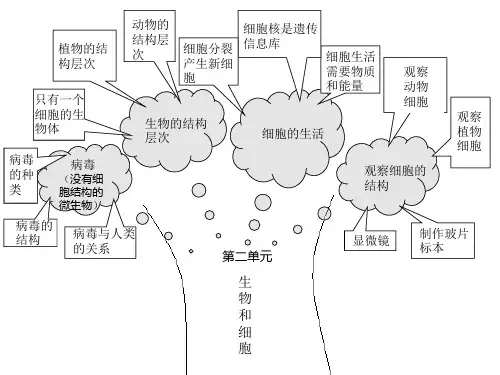 七年级上册生物知识树