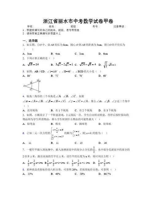 最新浙江省丽水市中考数学试卷甲卷附解析