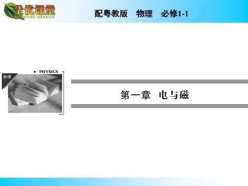 第1章 第6节洛伦兹力初探