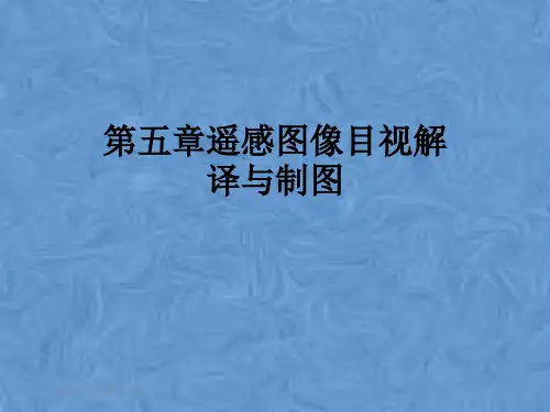 第五章遥感图像目视解译与制图